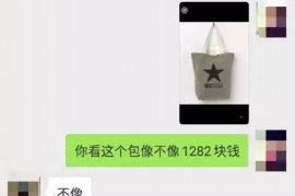 长岭企业清欠服务